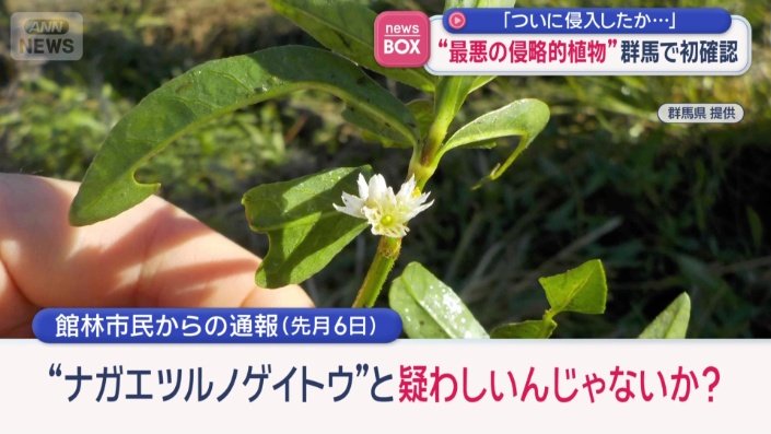 館林市民からの通報（先月6日）