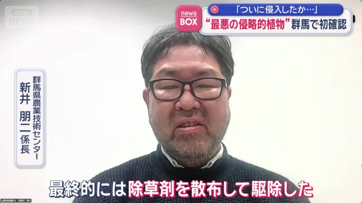 「最終的には除草剤で駆除」