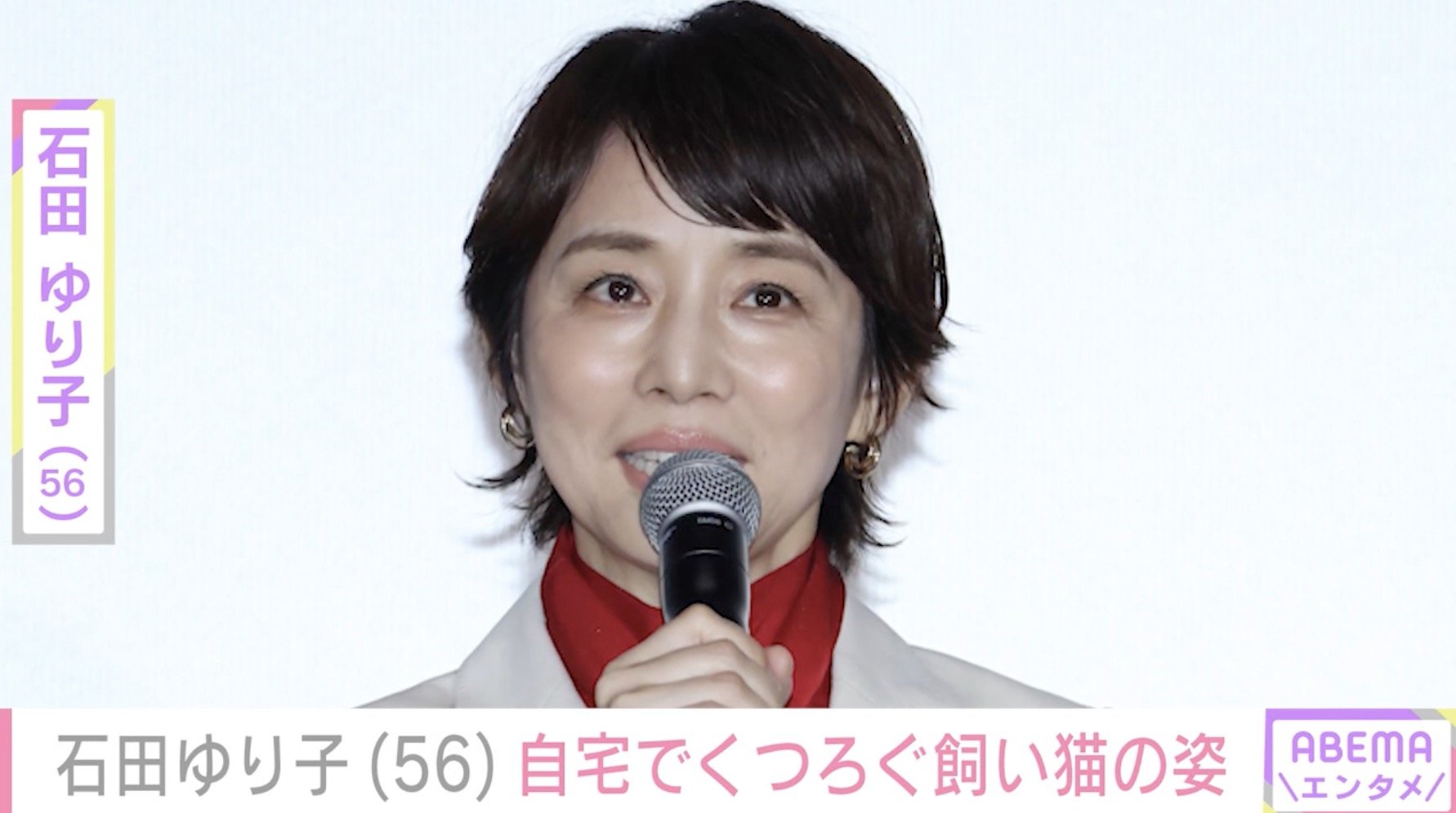 石田ゆり子（56）、生活感あふれる自宅でくつろぐ愛猫たちの姿を公開「おかーさんは君たちを見てるのが本当にしあわせよ」