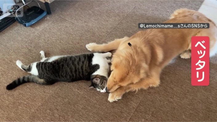 べったりくっついて仲良し