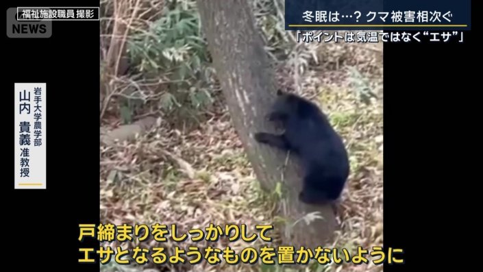 岩手大学農学部　山内貴義准教授