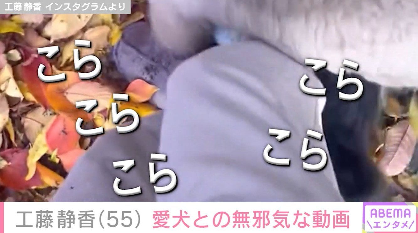 工藤静香と愛犬・ルン