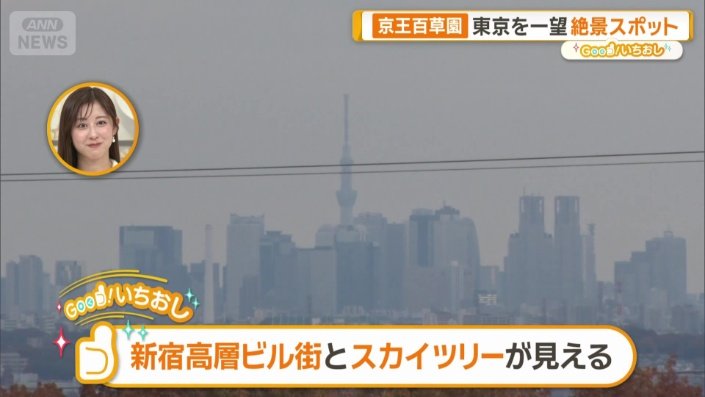 見晴台から見える新宿の高層ビル群や東京スカイツリー