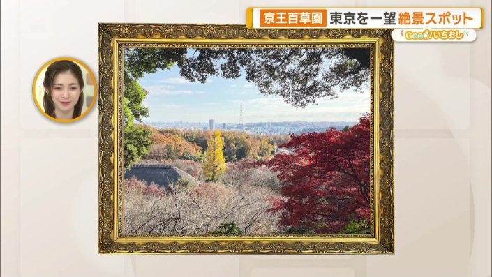 切り取った絶景