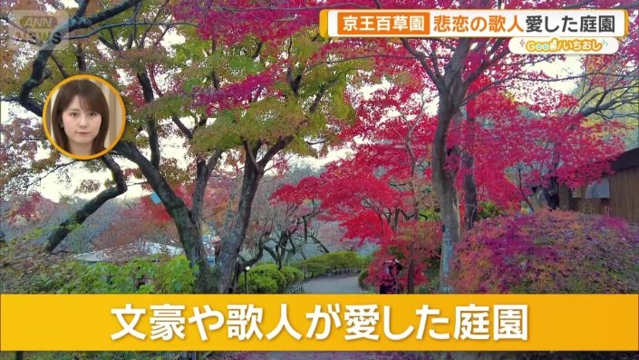 文豪たちにも愛された