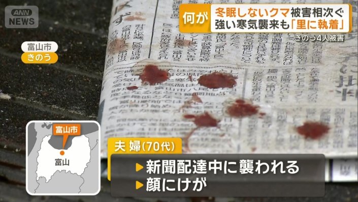 新聞配達中にクマに襲われる