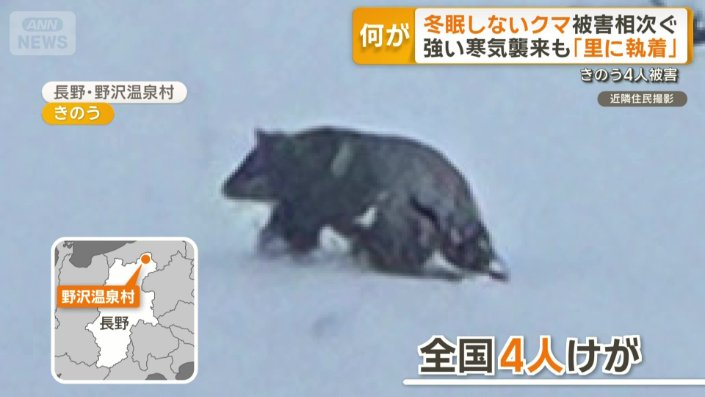 長野・野沢温泉村で目撃されたクマ