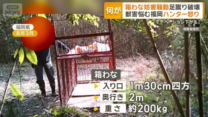 1m30cm四方、奥行き2m、およそ200kg　鉄製の箱わな