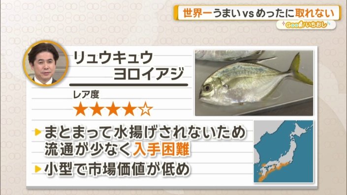 リュウキュウヨロイアジとは