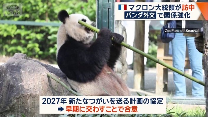 中国、フランスとパンダ協力延長