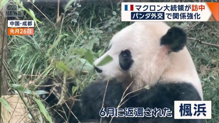 日本から6月に返還された楓浜