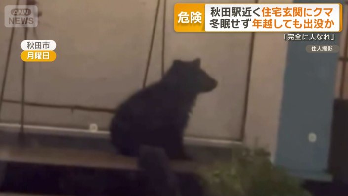 住宅の玄関先に現れたクマ