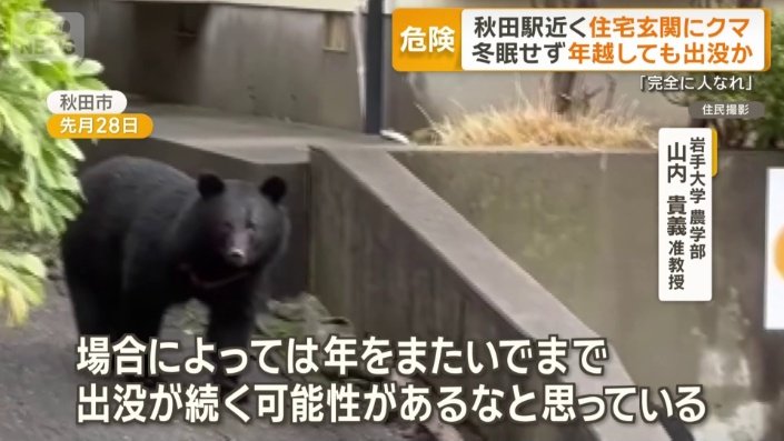 年越しても出没か