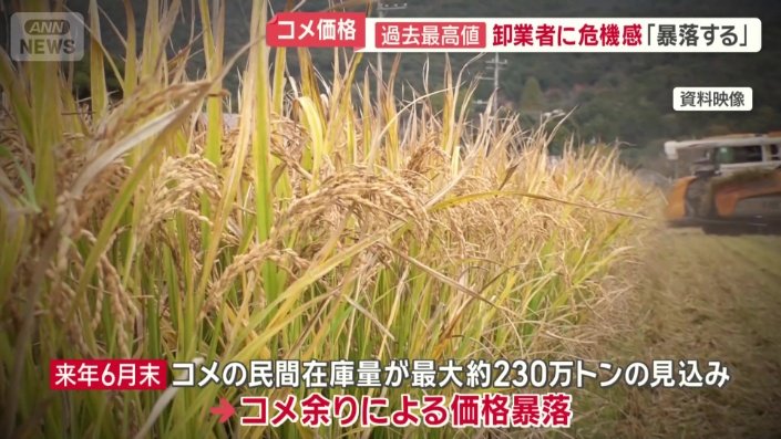コメ余りによる価格暴落も…