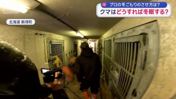 両側にクマの獣舎