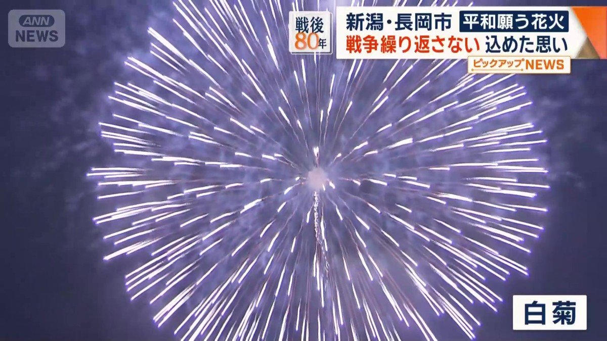 戦争やテロの犠牲者への鎮魂の意味が込められた「白菊」