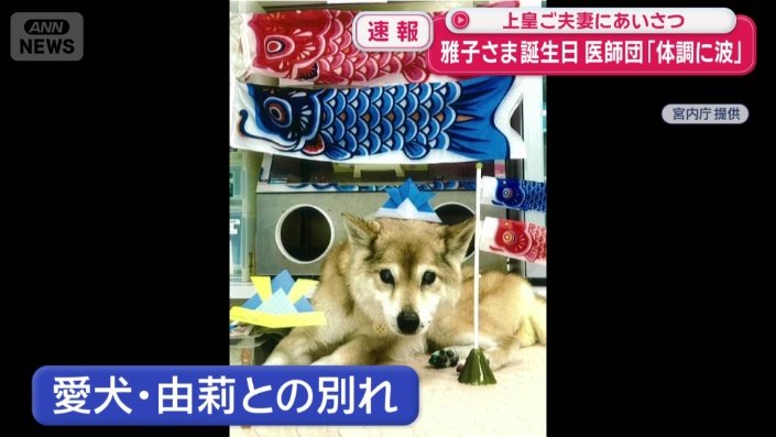ご一家の愛犬・由莉