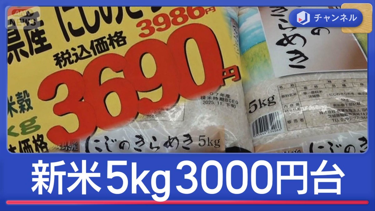 新米5kg3000円台を発見!なぜ価格急落?