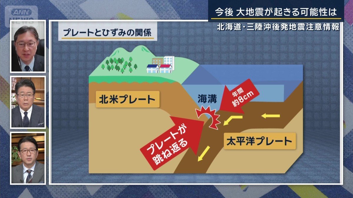 プレートとひずみの関係