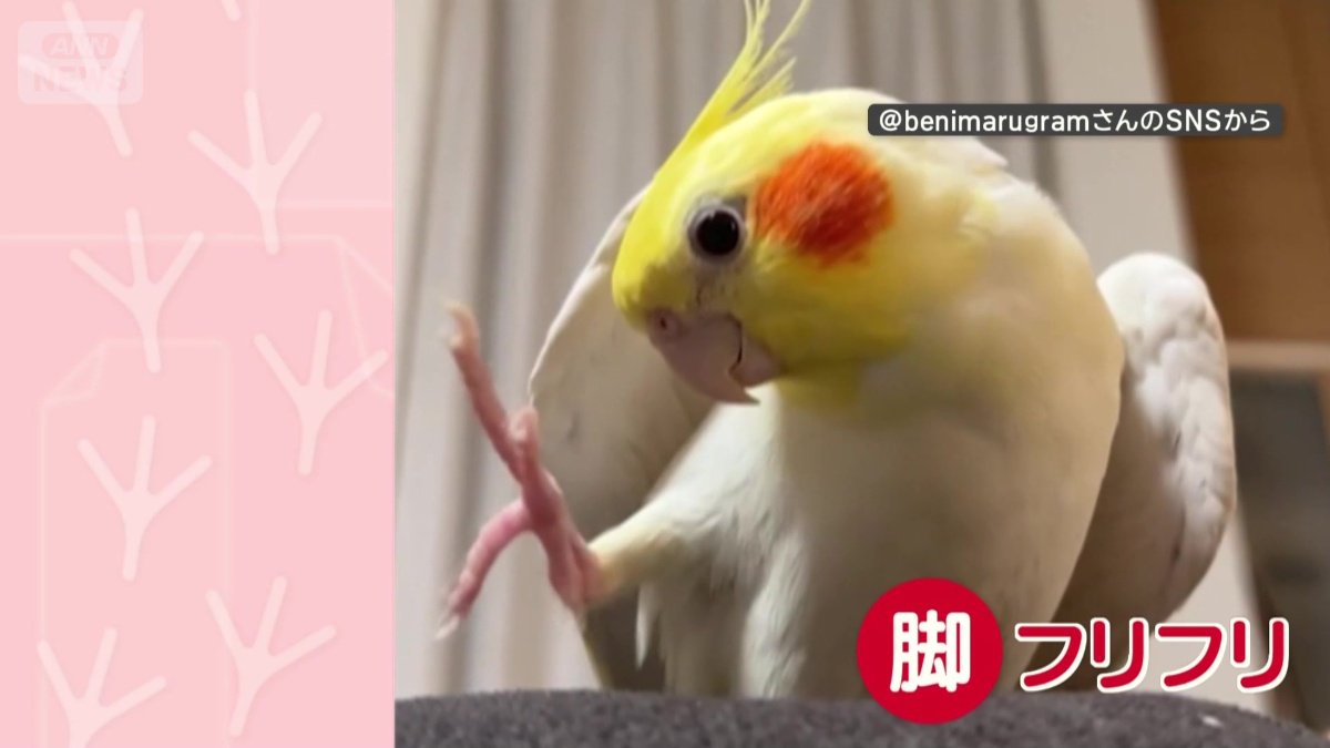 歌う時は脚フリフリ