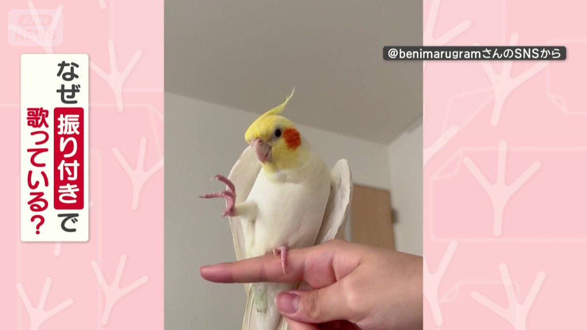 なぜ振り付きで歌ってる?