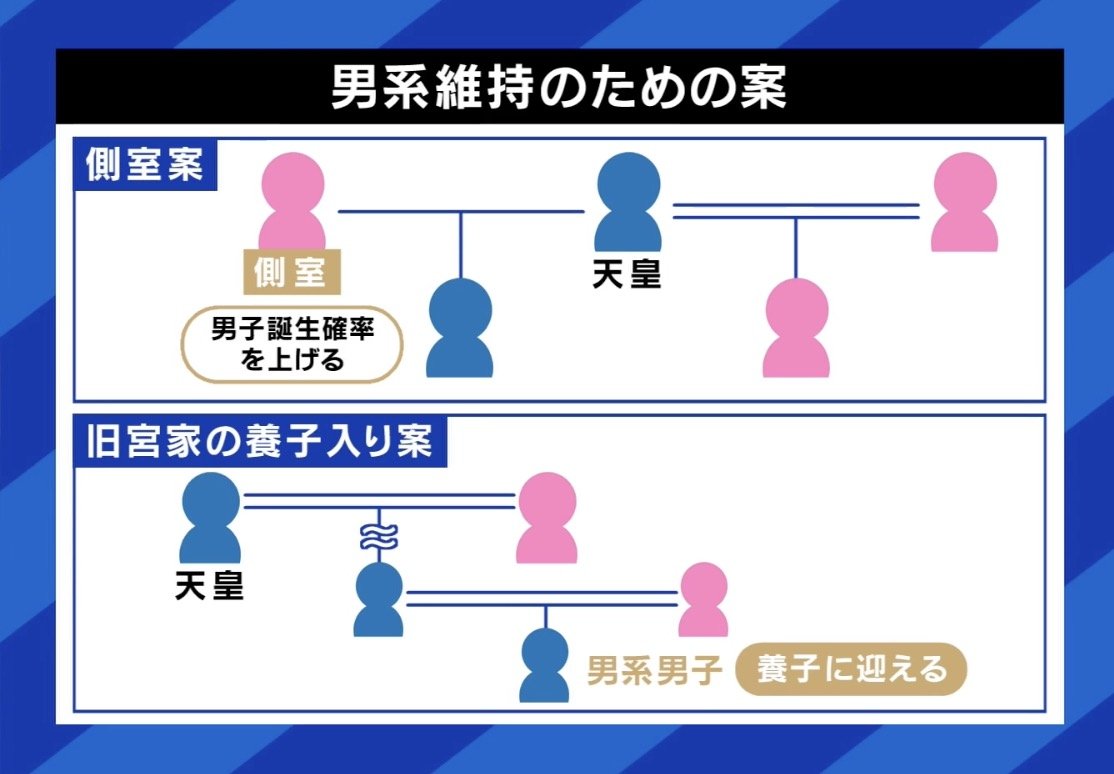 男系維持のための案