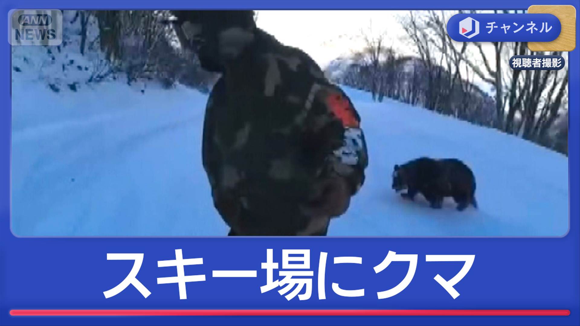 長野のスキー場にクマ“緊迫の一部始終”