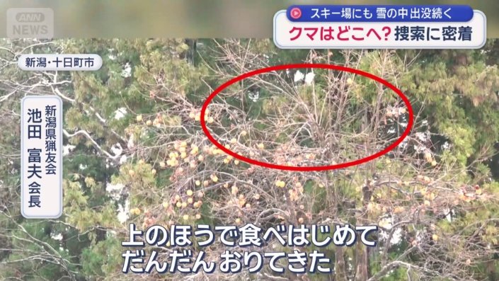 一番上は柿がない