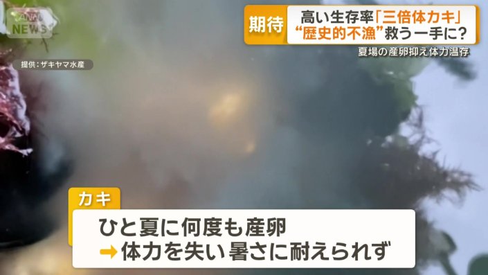 「過剰な産卵」要因の一つか