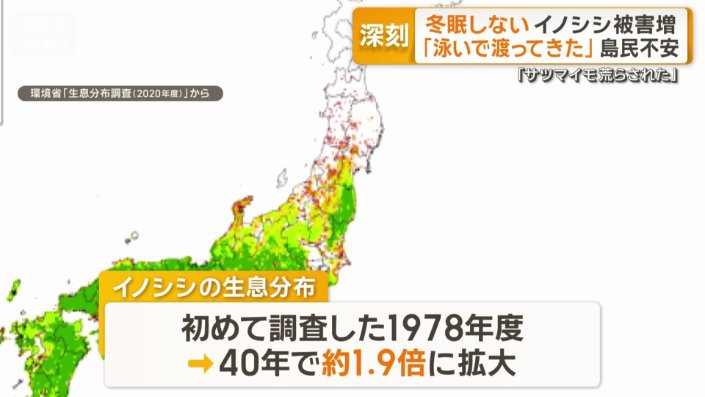 赤色が最近新たにイノシシが確認された場所