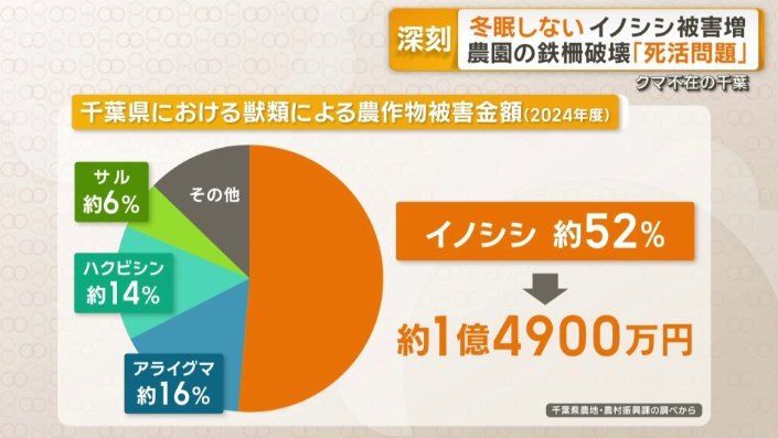 千葉県の獣類による農作物の被害金額