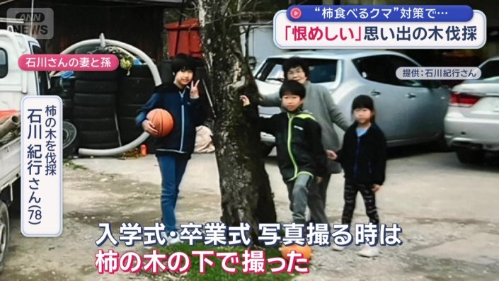 記念撮影の場所として親しまれてきた柿の木は…
