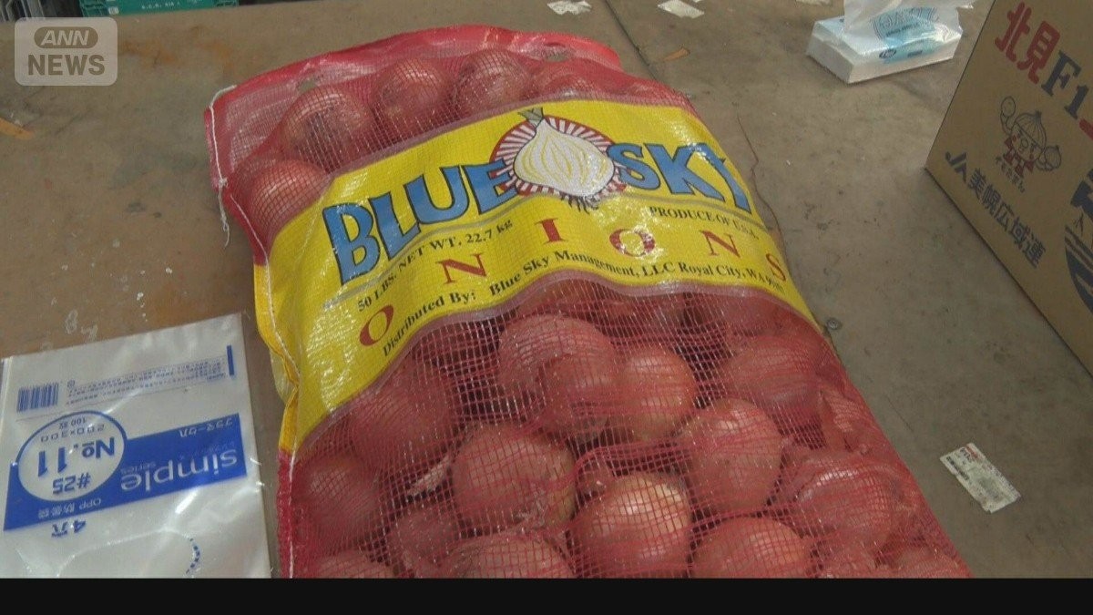 国産タマネギ小玉化…価格も高騰 ひと回り大きい格安米国産の輸入は46倍に