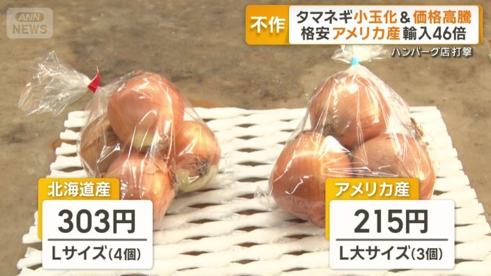 北海道産タマネギとアメリカ産の違い