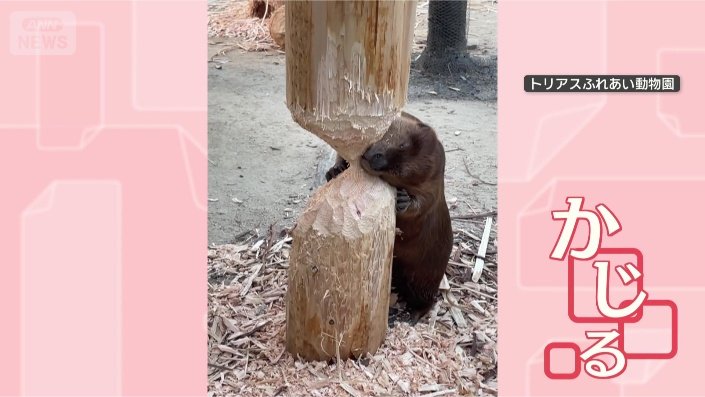 よし、もう少しで倒れるぞ