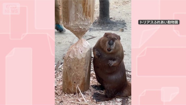 もしかして…“アノ”時間?