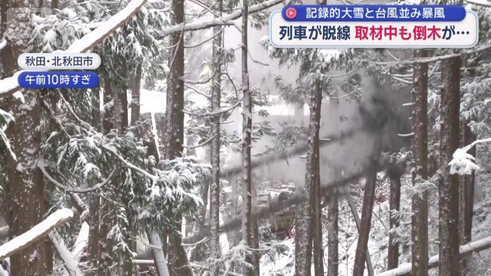 取材中にも車両の付近で倒木