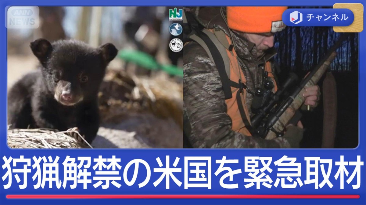 クマ個体数増え続ける日本&狩猟解禁の米を緊急取材 “科学的に”クマ個体数を管理