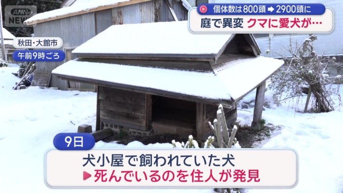 犬を襲ったのはクマの可能性が高い