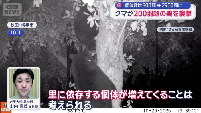 クマの密度が高くなると、エサの競争が始まる