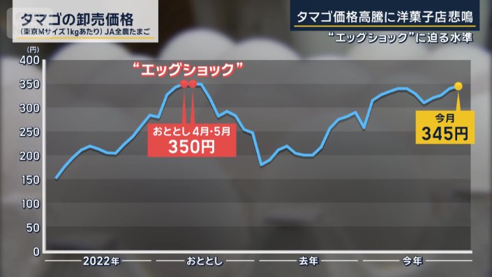 タマゴの卸売価格