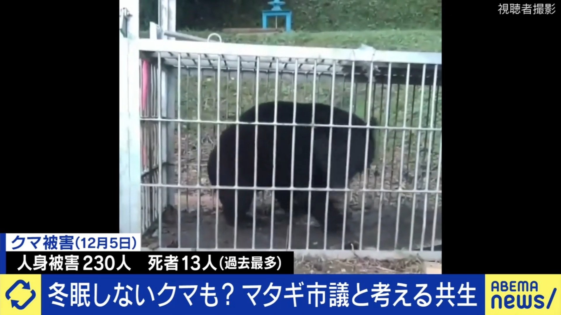 増え続けるクマの被害