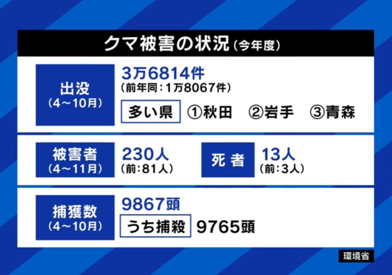 クマ被害の状況