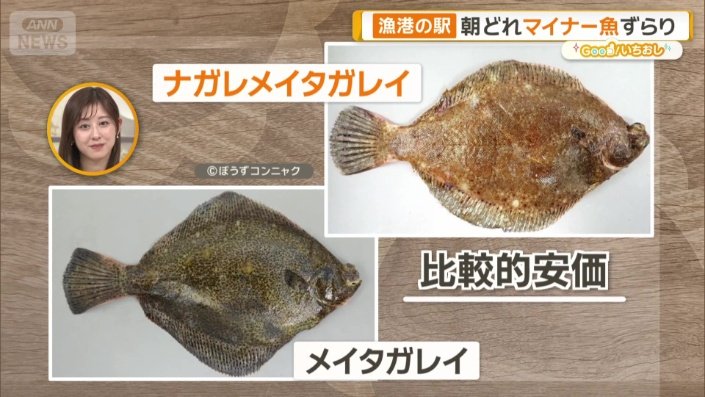 メイタガレイとナガレメイタガレイ