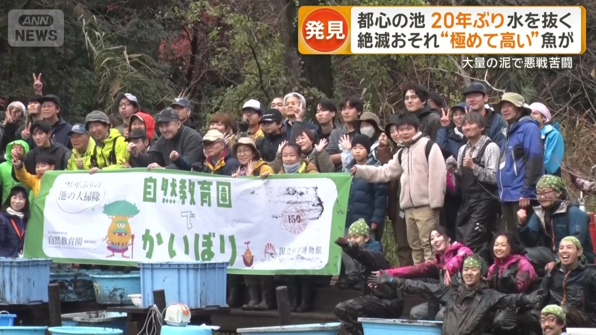 自然教育園でかいぼり