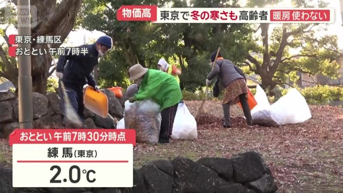 東京・練馬の光が丘団地で行われた有志による落ち葉拾い