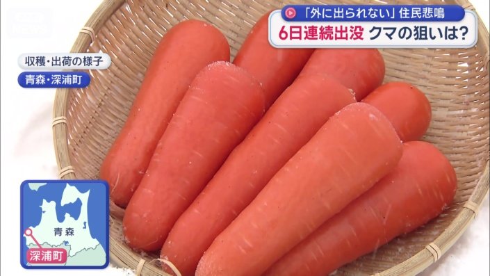 ブランドニンジン「ふかうら雪人参」