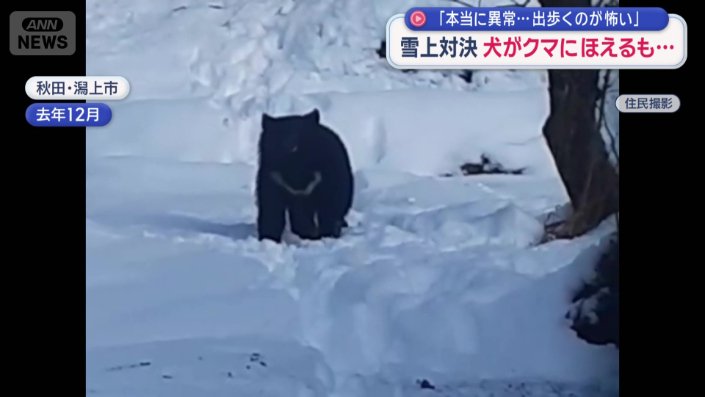 去年現れた、人も動物も恐れないクマ