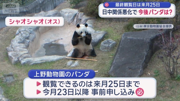 観覧できるのは来月25日まで