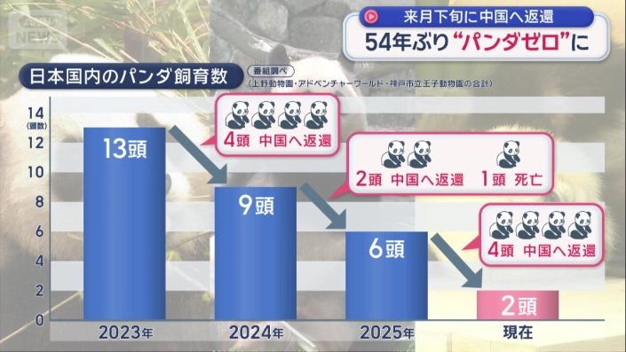 現在は上野にいる2頭だけに